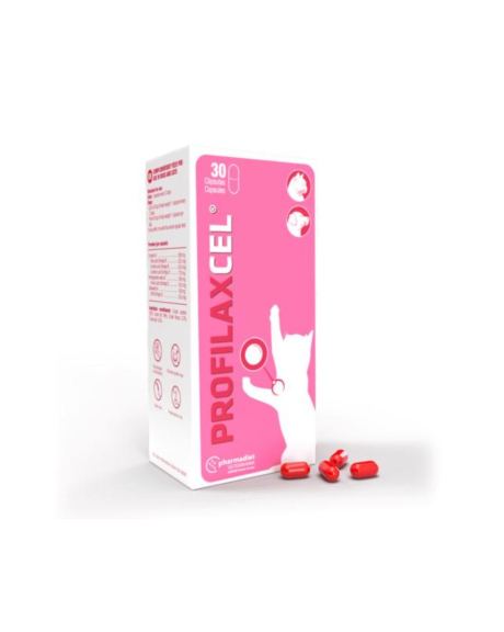 Profilaxcel - 30 Cápsulas é uma formula à base de ácidos gordos essenciais que ajudam ao correto funcionamento dos diferentes orgãos como as glândulas mamárias e a próstata, indicada em cães e gatos.