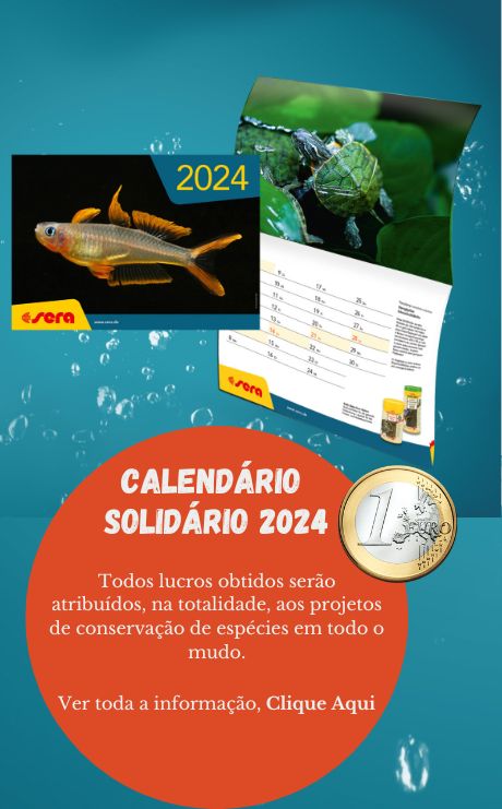calendario_solidario_mobile