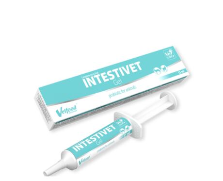 vetfood intestivet gel