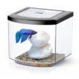 Aquario BettaCube 6 L