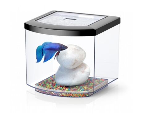 Aquario BettaCube 6 L