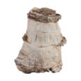 Sera Rock Asian Pagoda XXL
