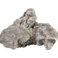 Sera Rock Gray Mountain L