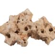 Sera Rock Hole Stone L