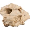 Sera Rock Hole Stone SM