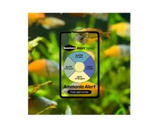 Seachem Ammonia Alert  é um dispositivo colorido inovador para detetar e monitorar continuamente amônia livre de tóxicos.