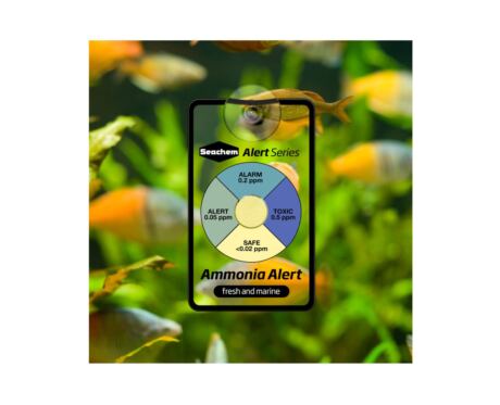 Seachem Ammonia Alert  é um dispositivo colorido inovador para detetar e monitorar continuamente amônia livre de tóxicos.
