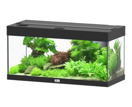 Aquario Prestige preto