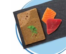 Catit Cuisine Mousse Peixe com Atum e Salmão