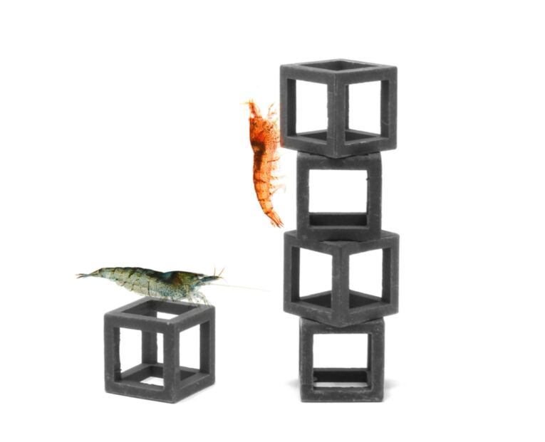 Aquavitro Shrimp Cubes ideal para camarões pequenos, peixes e outros animais que procuram de forma natural o isolamento de vez em quando para aliviar o estresse e evitar a predação.
