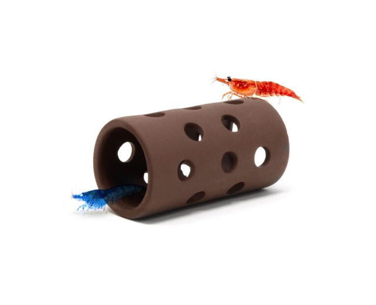 Aquavitro Shrimp Tube ideal para camarões pequenos, peixes e outros animais procuram naturalmente o isolamento de vez em quando para aliviar o estresse e evitar a predação.