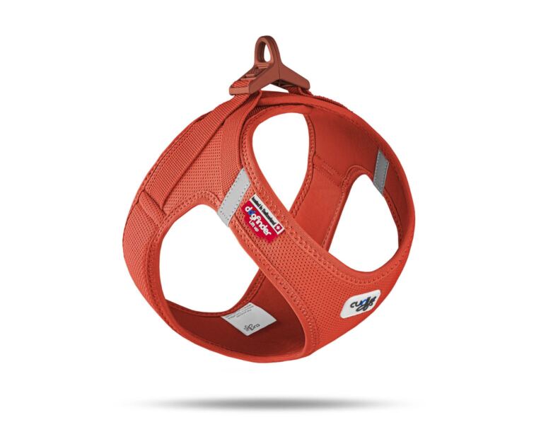 Peitoral Curli Clasp Vest Air-Mesh Laranja indicado para cães pequenos e médios.