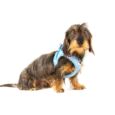 curli_claps_puppy_azul