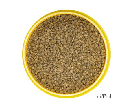 JBL ProNovo Gourami Grano