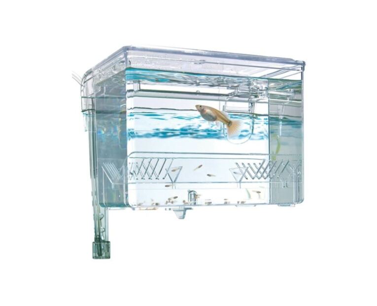Maternidade Breeding Box Fluval peixes