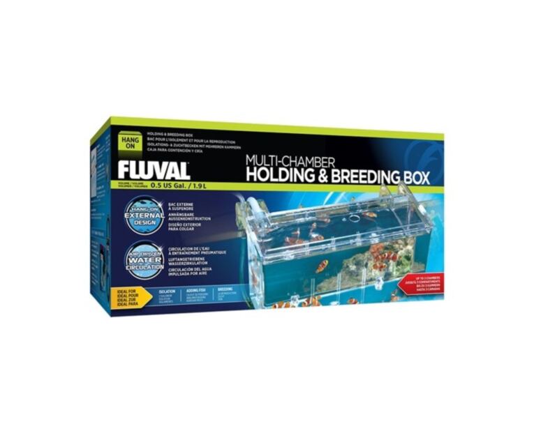 Maternidade Breeding Box grande