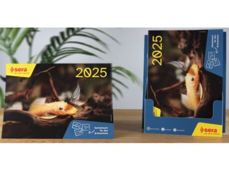 Calendário Solidário 2025