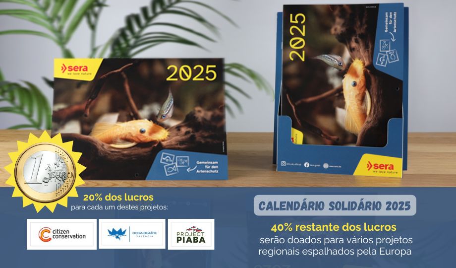 calendario_solidario_2025_tablet