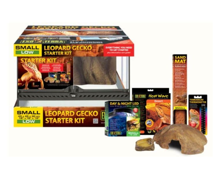 pack_exoterra_gecko_completo