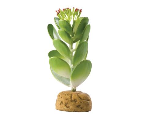 Cacto Artificial Jade da Exo Terra dentro de um terrário decorativo para répteis