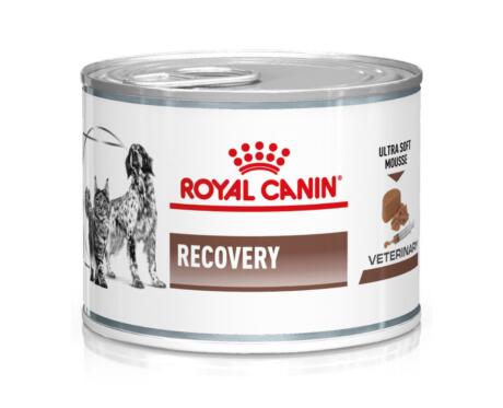 Royal Canin VET Recovery - Alimento em mousse suave para cão e gato em convalescença