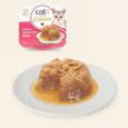 catit_dinner_frango_pato_tudo