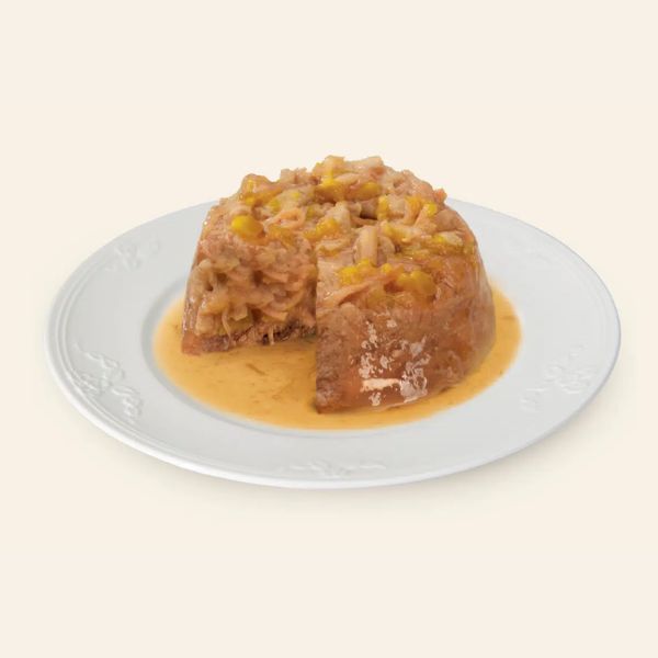 catit_dinner_frango_vaca_comida