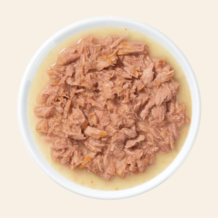 fillet_atum_apenas_tudo