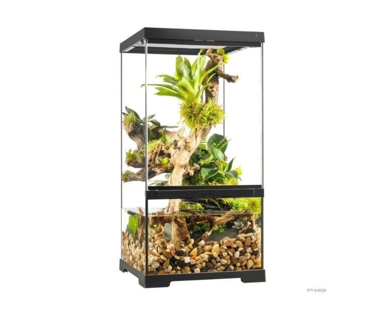 paludário Exo Terra 30x30x60 para répteis e anfíbios pequenos
