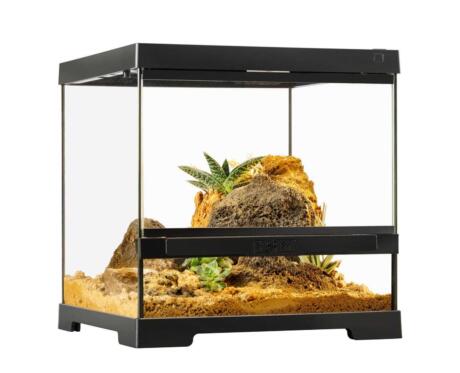 terrário Exo Terra 30x30x30 cm para répteis