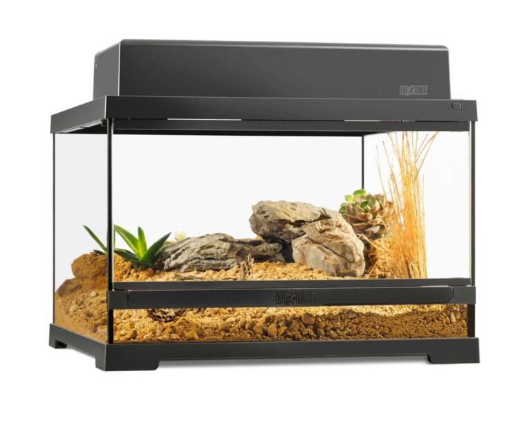terrario-exo-terra-45x45x30-cm-small-low luz