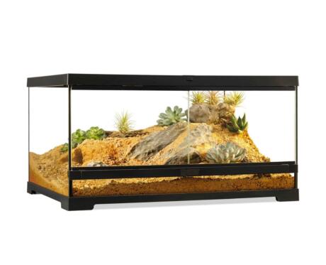 terrário Exo Terra 60×45×30 cm para répteis