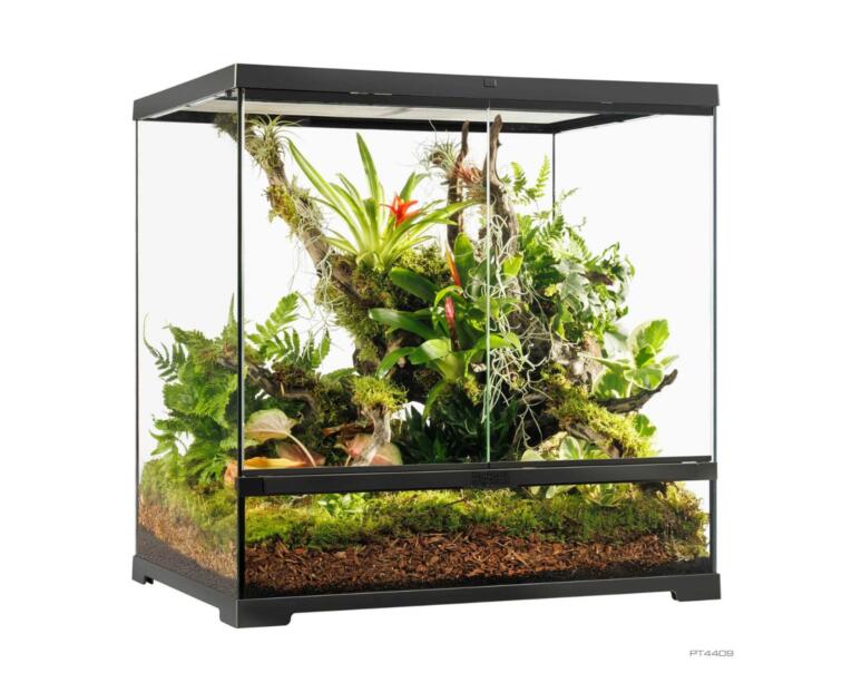 terrário Exo Terra 60x45x90 cm para répteis