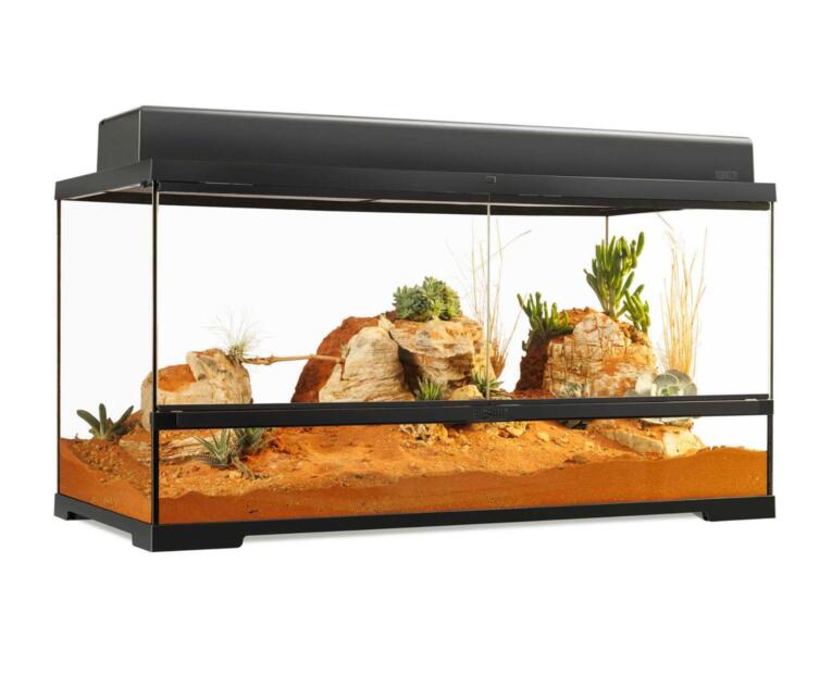 Terrário Exo Terra Large Wide 90×45×45 cm para répteis