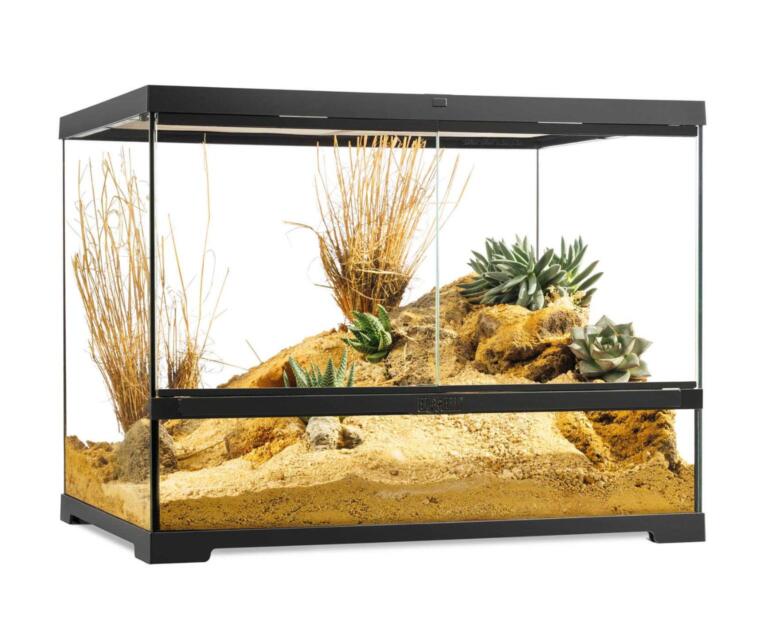 Terrário Exo Terra Medium Wide 60×45×45 cm para répteis