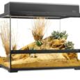 terrario-exo-terra-medium-wide-60x45x45-top
