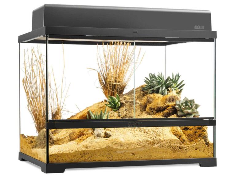terrario-exo-terra-medium-wide-60x45x45-top