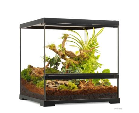terrário Exo Terra 45×45×45 para répteis