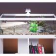 movel_stand_tortum100_aquario