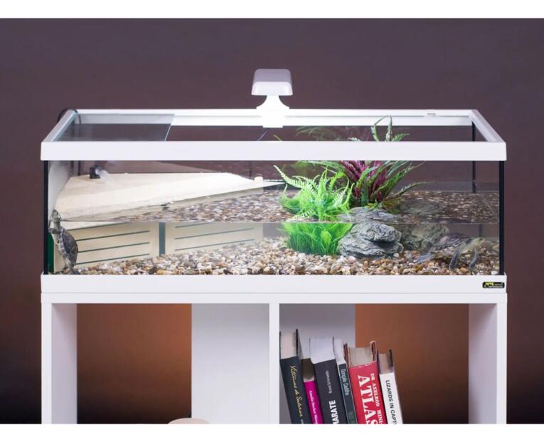 movel_stand_tortum100_aquario