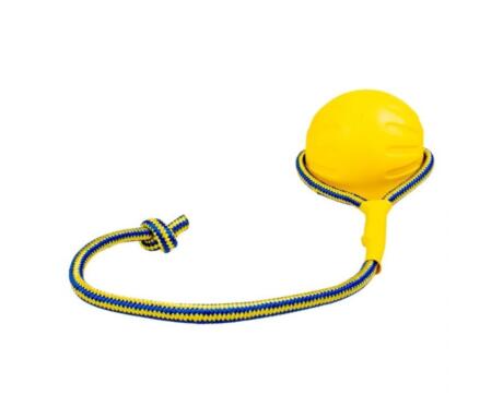 Bola flutuante para cães Duvo Plus com corda brinquedo aquático resistente