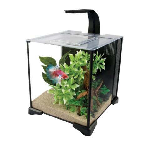 Fluval Betta Aquarium Kit 20L aquário completo para peixe betta