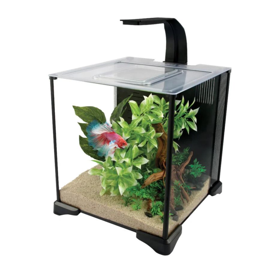Fluval Betta Aquarium Kit 20L – Aquário Completo para Peixe Betta