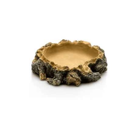 Water Dish Giganterra