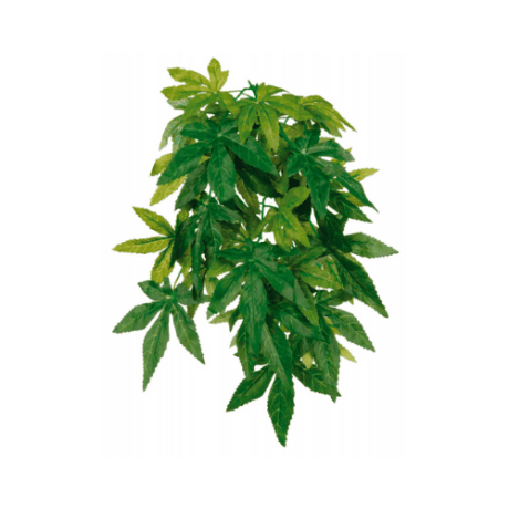 Plantas Artificiais: Abutilon