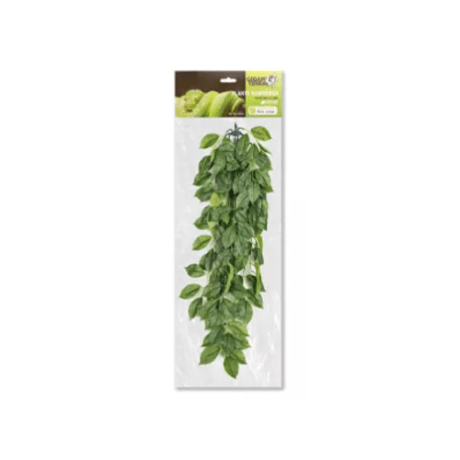 Planta Suspensa Ficus