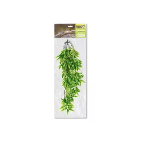 Planta Suspensa Bamboo