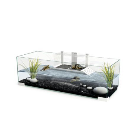 Tartarugueira de Vidro Ciano Tartarium