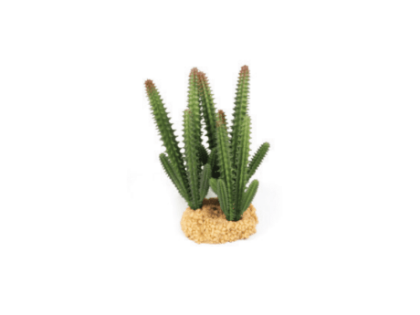 Terra Decor Planta Cactus Fino 16 cm