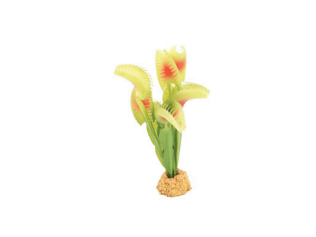 Terra Decor Planta Suculent 17 cm